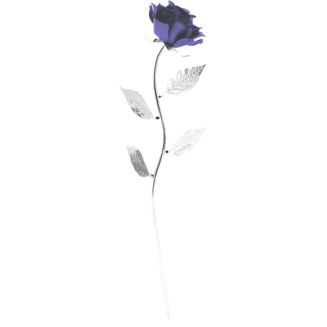 Tumma violetti juhlaruusu R613